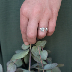 Anillo perrucho plata en internet
