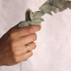 Anillo perro salchicha bronce en internet