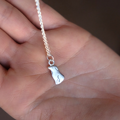 Dije perrito de plata