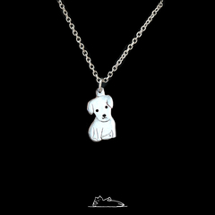 Collar personalizado (1 animal)