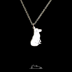 Collar personalizado (1 animal) en internet