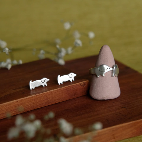 Anillo + aros salchi de plata