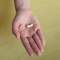 Pin carpincho bronce - Joyas Animaluchitis