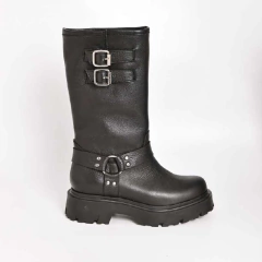 BOTA NOAH en internet