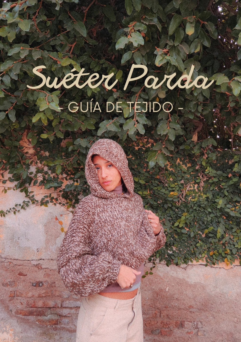 Guía de tejido digital [Suéter Parda]