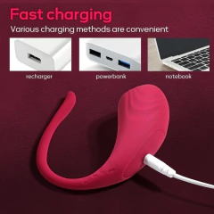 Imagen de VIBRADOR EN "U" CON APP - RECARGABLE TIPO LOVENSE LUSH. SW3022