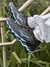 MIZUNO PROPHECY 13 na internet