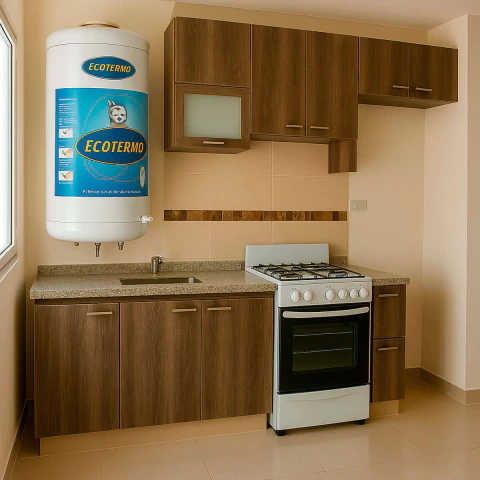 TERMOTANQUE GAS NATURAL ECOTERMO 80 LTS LE80 SUPERIOR - comprar online