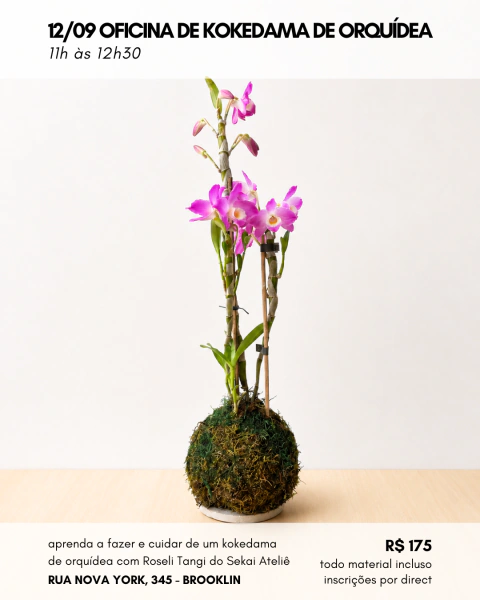 OFICINA DE KOKEDAMA DE ORQUÍDEA 12/09 - 11h TURMA MANHÃ