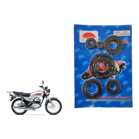 Juego Retenes De Valvula Motor Suzuki Ax100 6 Piezas Osaka
