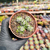 Crassula ivory pagoda Pote 9 - comprar online