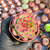 Echeveria fire pillar Pote 9 - comprar online