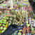 Crassula swaziensis variegata - money maker Pote 11 na internet