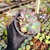 Echeveria gila cristata Pote 15 - comprar online