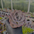 Echeveria dusty rose Pote 9 - SUCULENTAS EM CASA