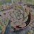 Echeveria pretty in pink Pote 9 - SUCULENTAS EM CASA