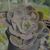 Echeveria rosaura Pote 9 - comprar online