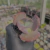 Echeveria bumps Pote 9 - loja online