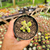 Imagem do Crassula ausensis Pote 9