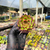 Echeveria puli-lindsayana Pote 9 - loja online