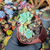 Sedum clavatum Pote 9 - comprar online