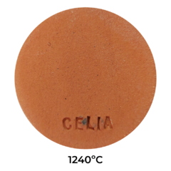 Argila Célia Pascoal 900ºC a 1240ºC