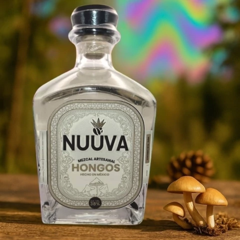 Mezcal con Hongos Alucinógenos de Oaxaca - comprar en línea