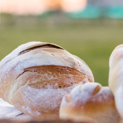 Pan de Campo