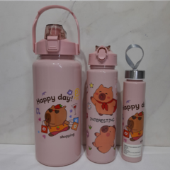 SET X3 BOTELLAS CAPYBARA - tienda online