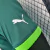 Camisa Puma Palmeiras I Home 2023/24 Jogador Masculina - VERDE