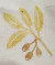 Imagen de Tote Bag Estaciones: Primavera - Verano