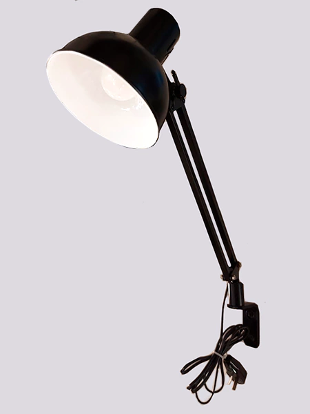 PIXAR CHICA DE PARED