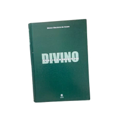 LIVRO DIVINO - A VIDA E A ARTE DE ADEMIR DA GUIA - comprar online