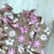 Imagem do Vestido manga longa em molecotton