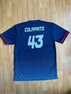 CAMISETA COLAPINTO WILLIAMS FORMULA 1 - FAQ INDUMENTARIA