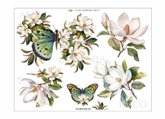 FLORECER030
