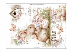 PASCUAS014 - comprar online