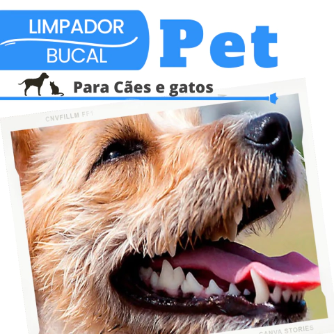Limpador Bucal para Pet 05 un. - comprar online
