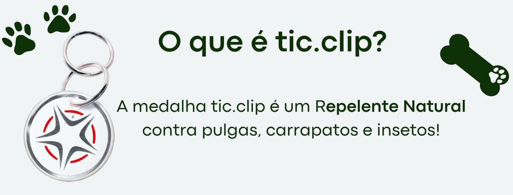 Imagem do banner rotativo 1