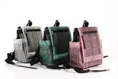 Renet Backpack on internet