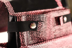 Renet Backpack on internet