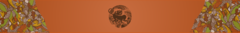 Banner da categoria Singulares