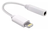 Adaptador de Fone de ouvido para Iphone Hmaston