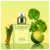Eternity for Men Calvin Klein Eau de Toilette - Perfume Masculino