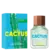 Green Cactus for Him United Dreams Benetton Eau de Toilette - Perfume Masculino - comprar online