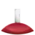 My Euphoria Calvin Klein Eau de Parfum - Perfume Feminino