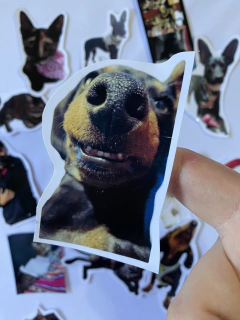 STICKERS PERSONALIZADOS x15