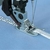 05 Sapata Calcador para Cordão 7 Furos Domestica - SA157 - comprar online