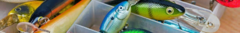 Banner da categoria Isca Artificial