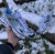 Nike Air Max TN Plus 3.0